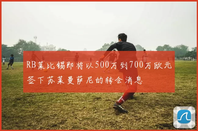 RB莱比锡即将以500万到700万欧元签下苏莱曼萨尼的转会消息