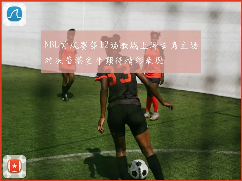 NBL常规赛第12场激战上海玄鸟主场对决香港金牛期待精彩表现